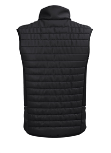 Show details for Dallam School Apex Pro Gilet - Youth